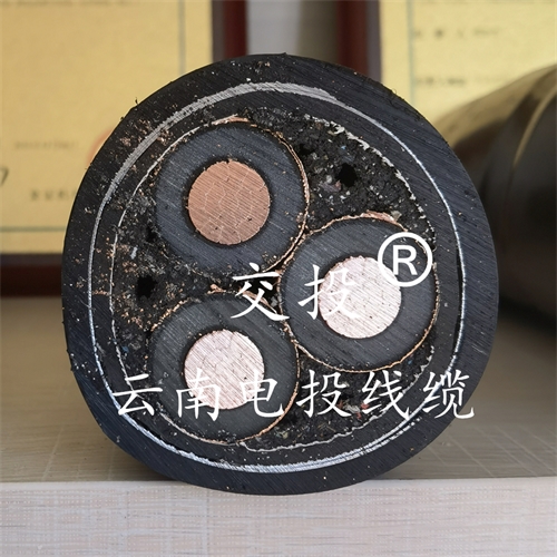 digitalthermostatguys.com