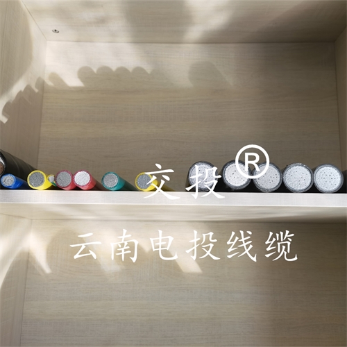 digitalthermostatguys.com