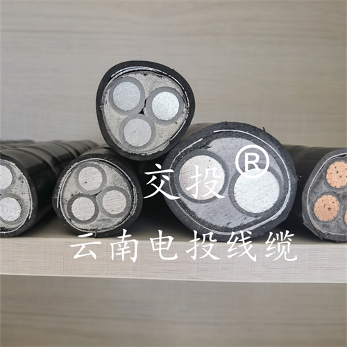 digitalthermostatguys.com