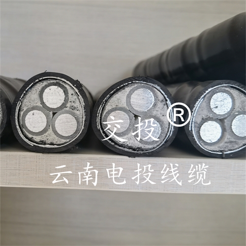 digitalthermostatguys.com