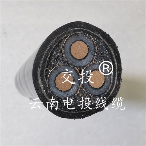 digitalthermostatguys.com