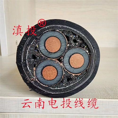 digitalthermostatguys.com