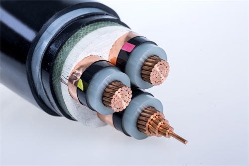 digitalthermostatguys.com