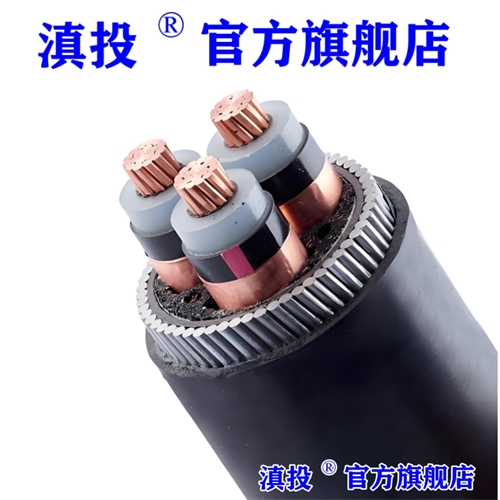 digitalthermostatguys.com